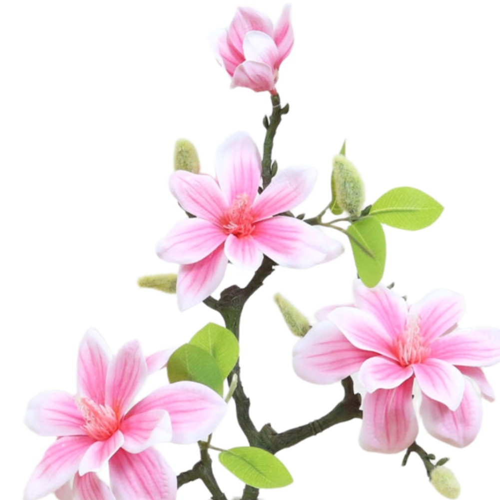 Photography Artificial Lighting - Bunga Magnolia Buatan dari Plastik dan