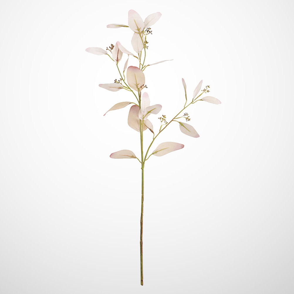 1 Buah Daun Eucalyptus Realist - Photography Artificial Lighting ulasan dan harga