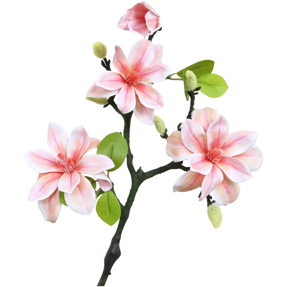 Bunga Magnolia Buatan dari Pla - Photography Artificial Lighting ulasan dan harga