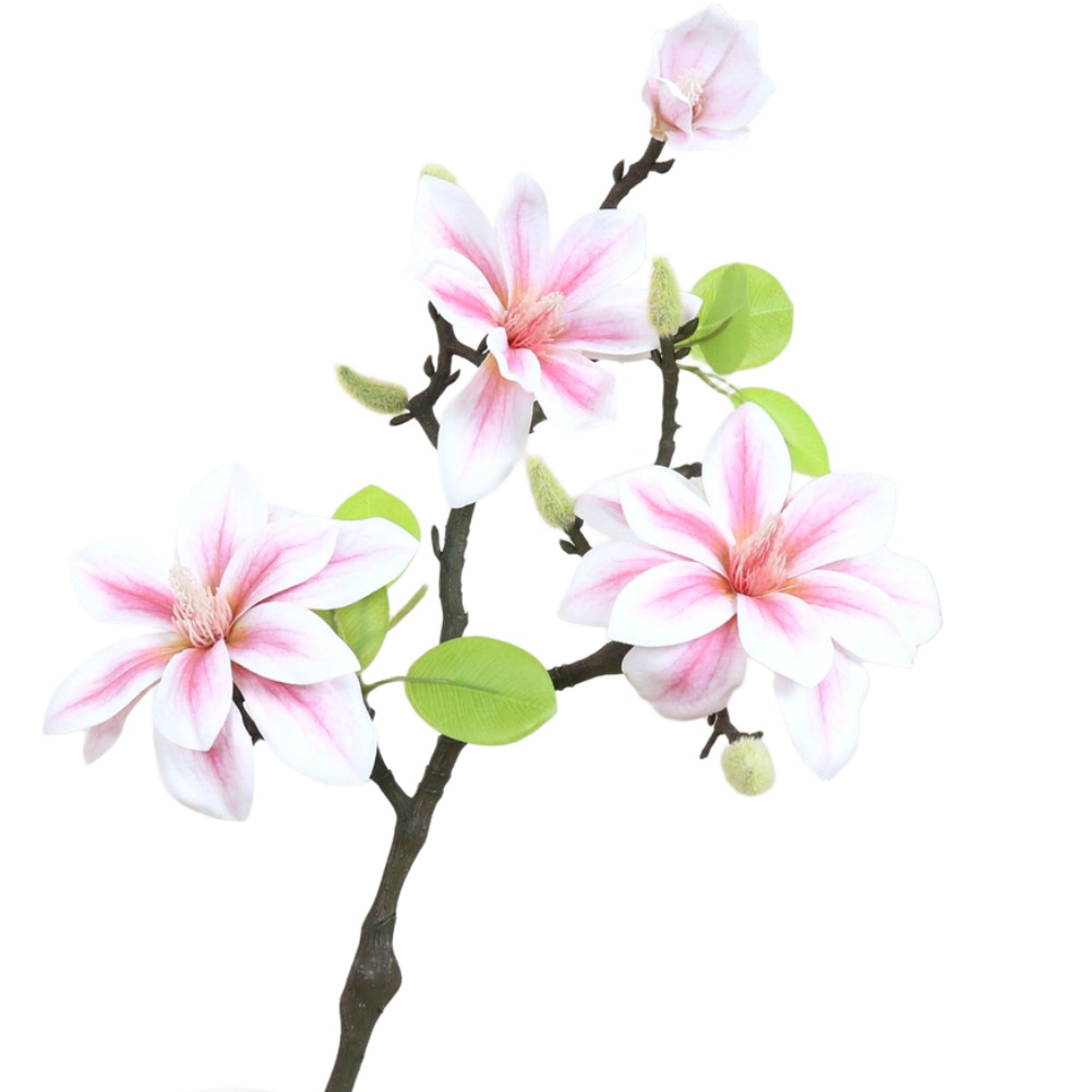 Bunga Magnolia Buatan dari Pla - Photography Artificial Lighting ulasan dan harga