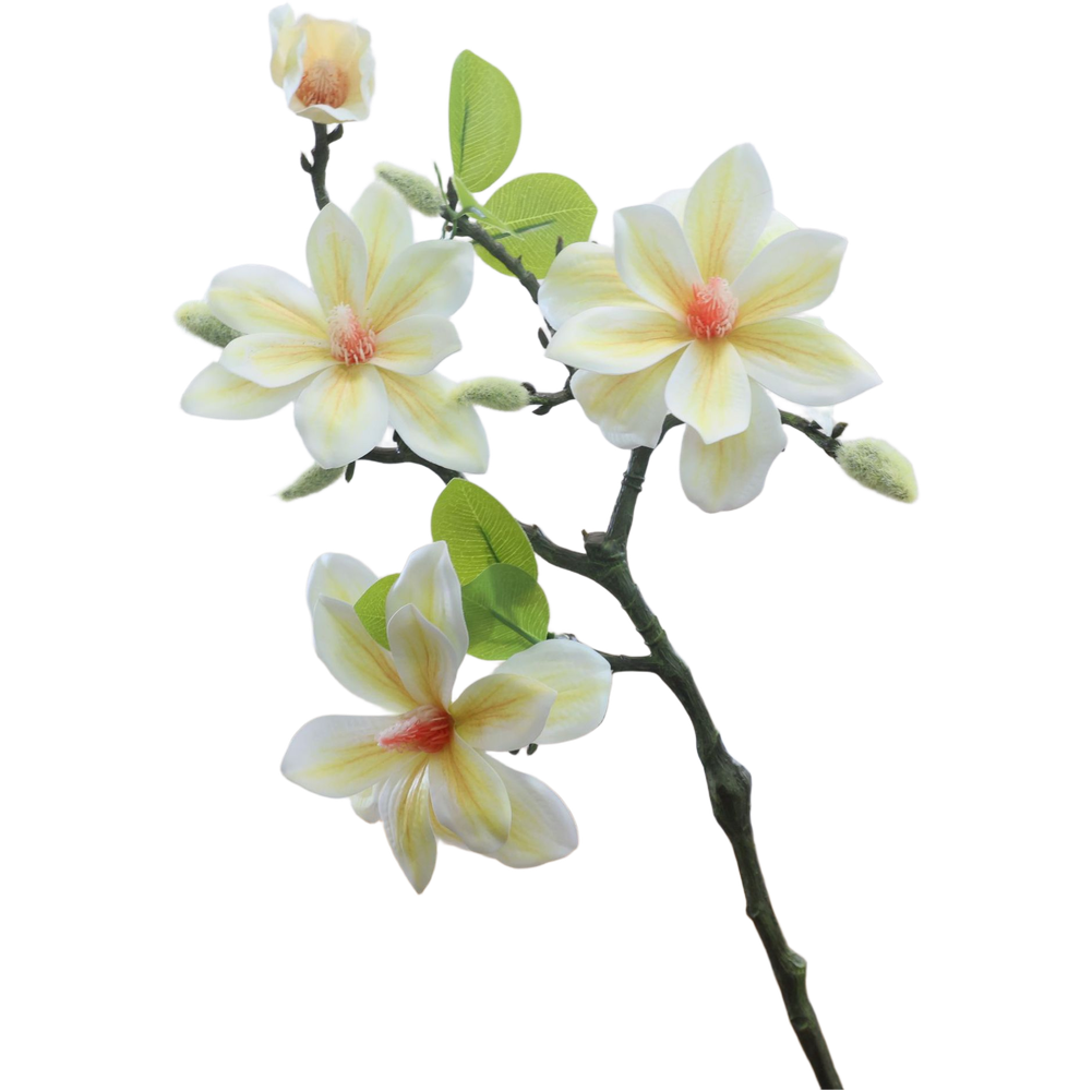 Bunga Magnolia Buatan dari Pla - Photography Artificial Lighting ulasan dan harga