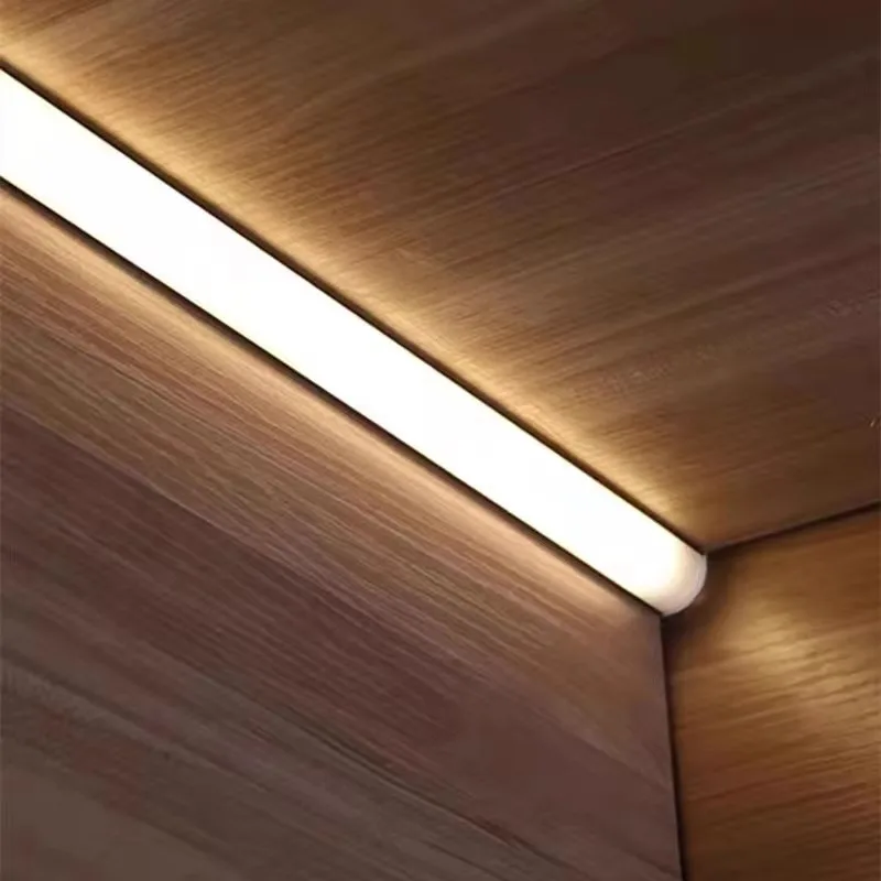Lampu Tali Silikon Led 12V Tah - Diffusion Material Roll ulasan dan harga